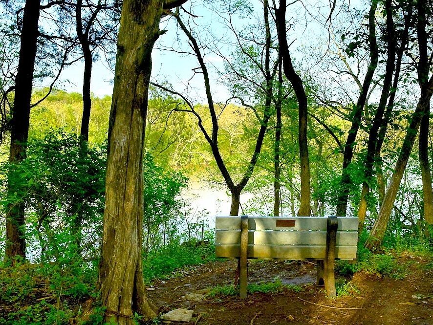 Picture of Yankauer Nature Preserve