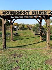 Picture of Somerset Ridge Vineyard and Winery
