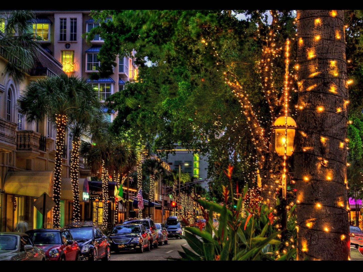 Picture of Las Olas Boulevard
