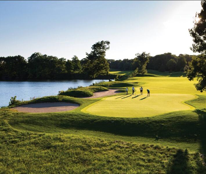 Picture of Thornapple Pointe Golfing