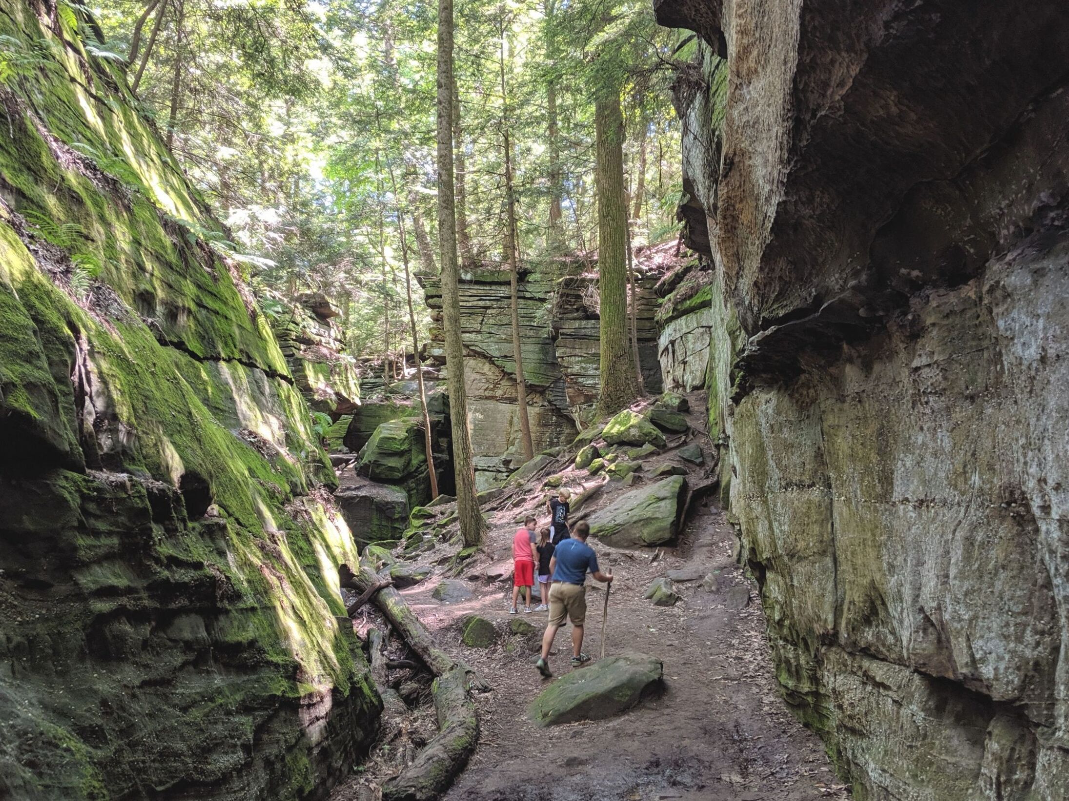 Picture of Ledges Trail