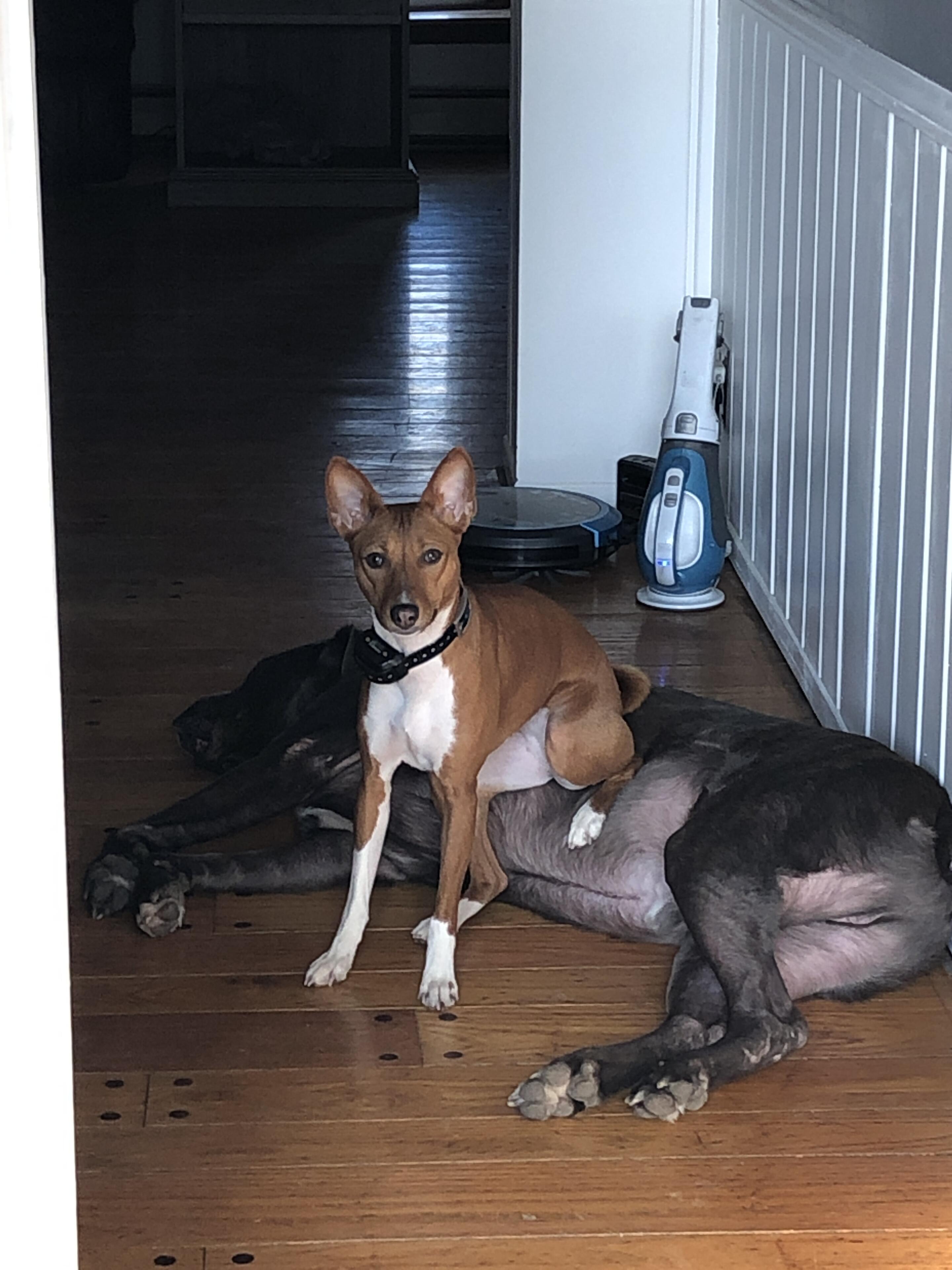 Album Photo 21