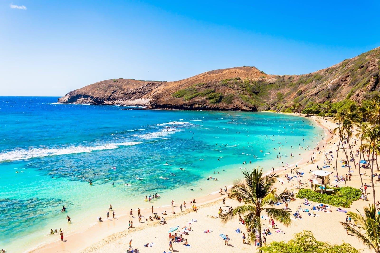 Picture of Hanauma Bay Snorkeling