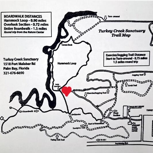 Picture of Getting to the Turkey Creek Amphitheater
