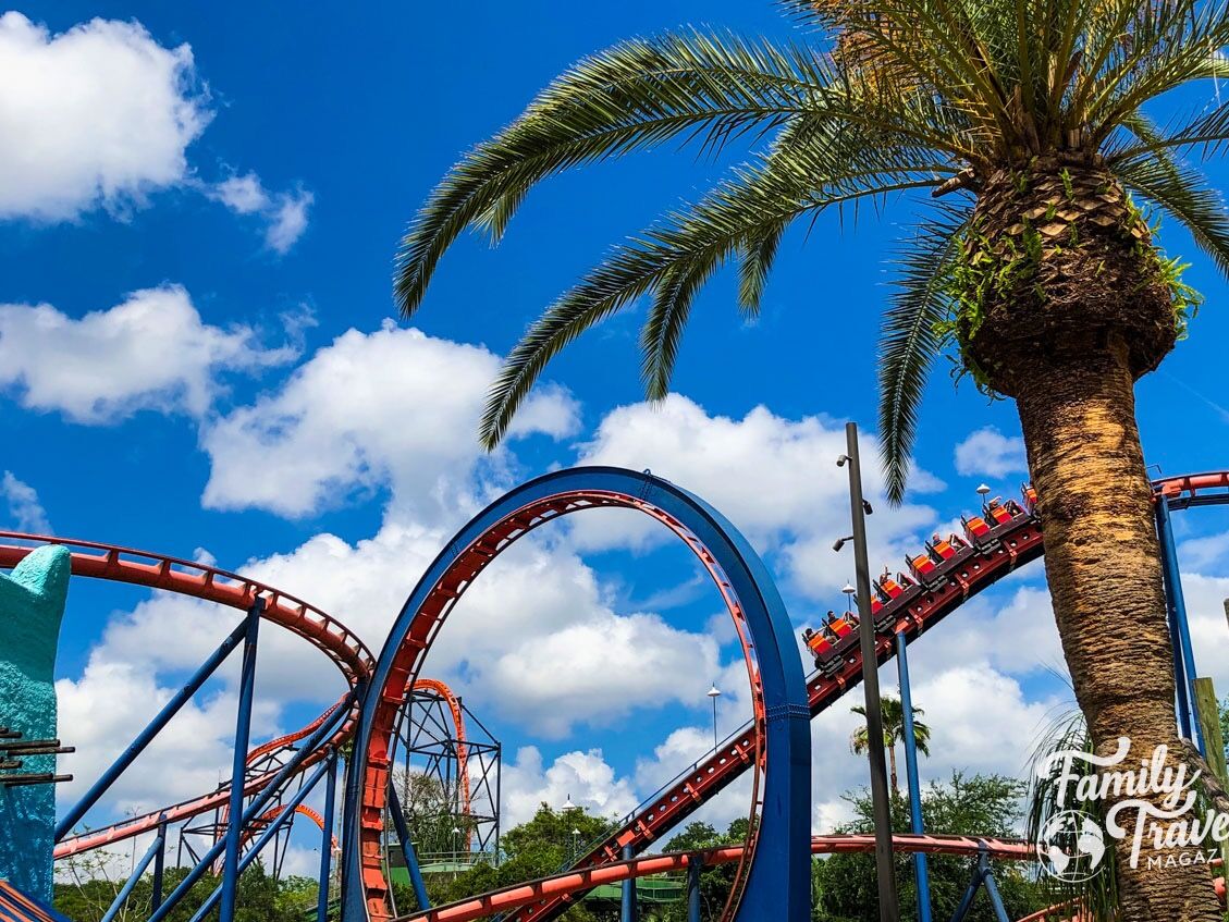 Picture of Busch Gardens Tampa Bay