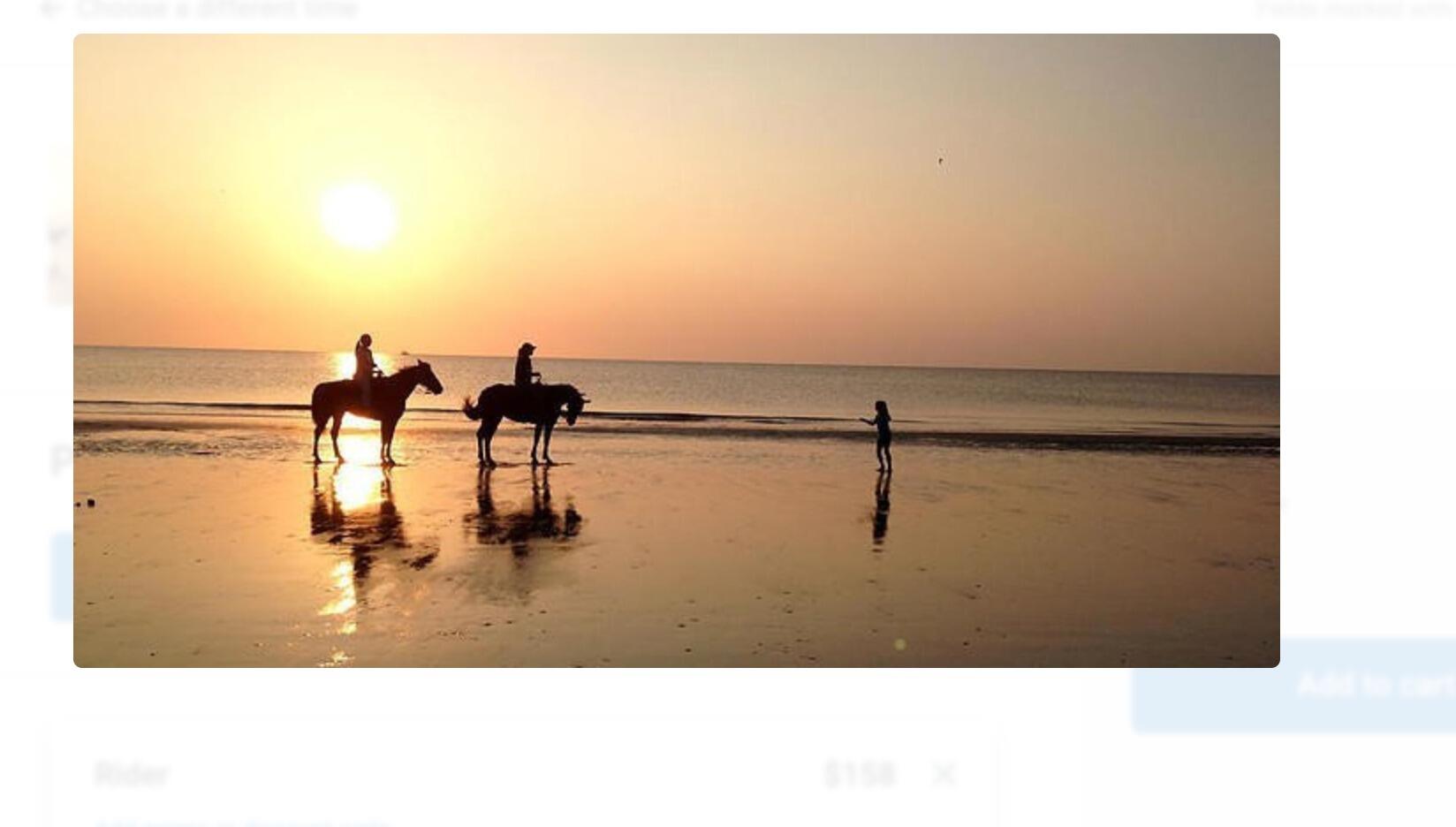 Picture of Golden Isles Carriage and Trail Rides