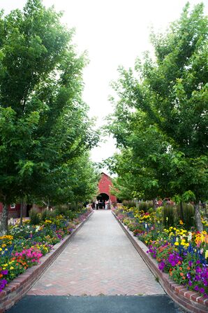 Lush Garden Walkway From Ceremony to Reception Venues