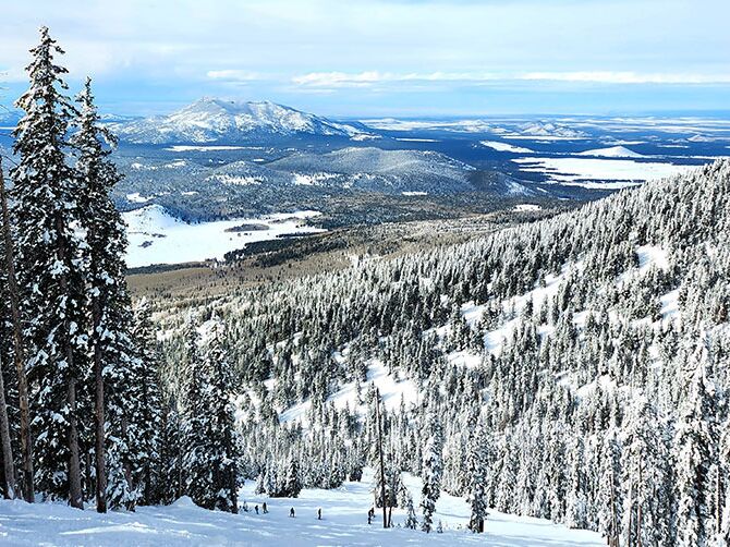 Picture of Arizona Snowbowl Ski Resort