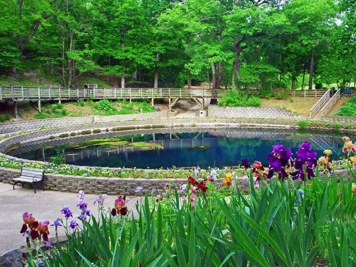 Picture of Blue Spring Heritage Center