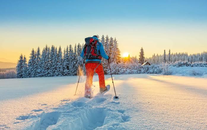 Picture of Cross Country Skiing & Snowshoeing