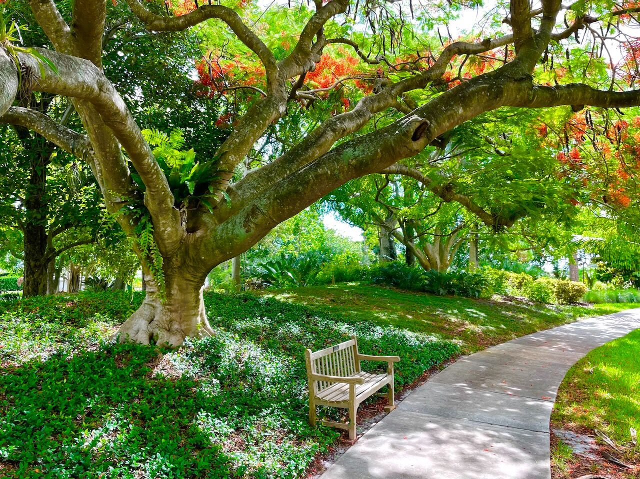 Picture of Mounts Botanical Garden