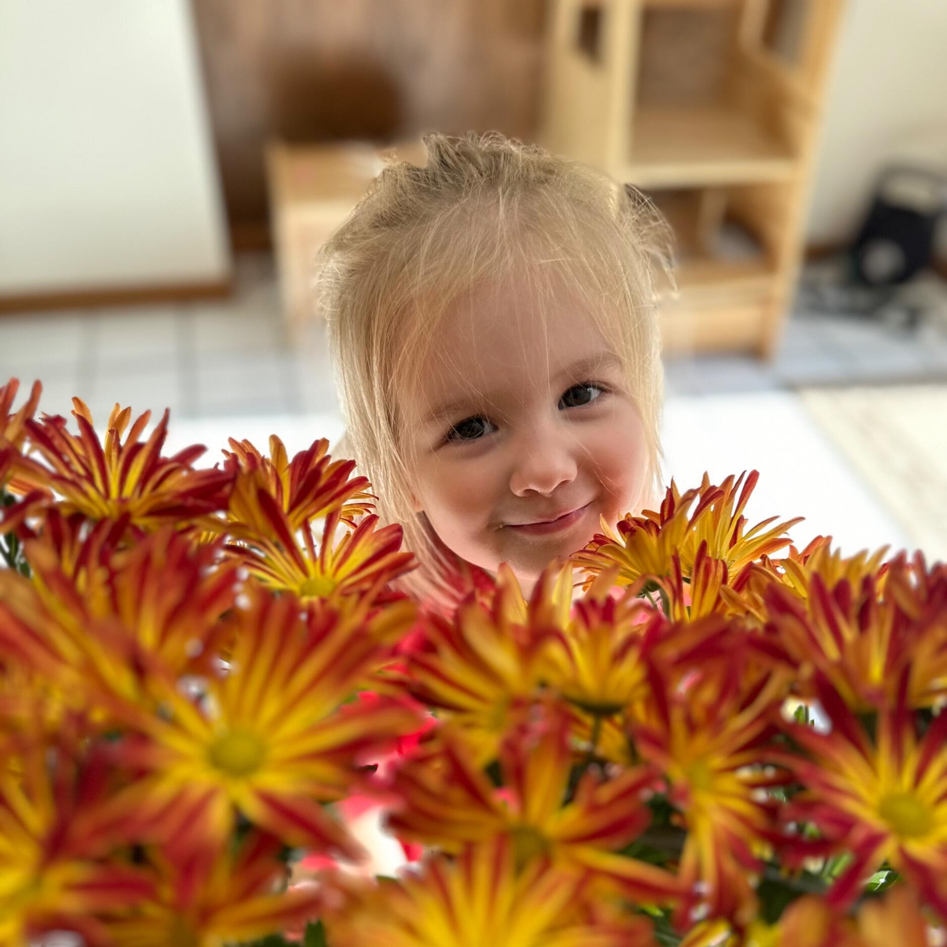 Alma Behrends