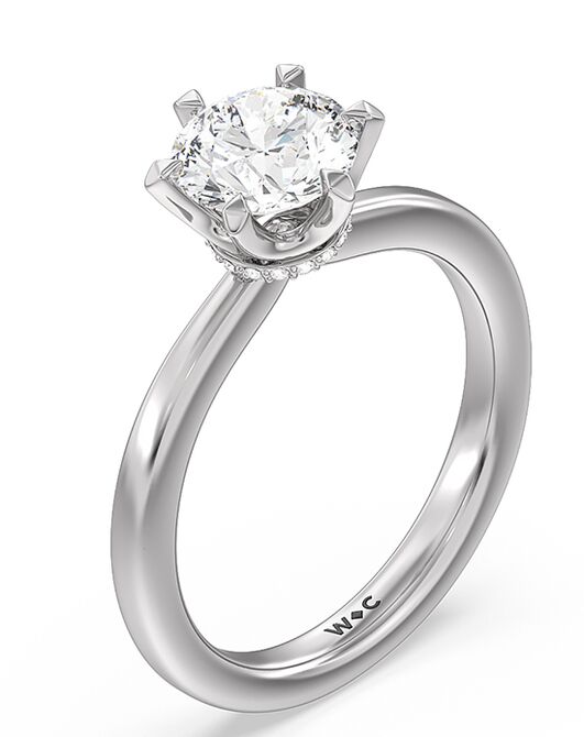 With Clarity Classic Cushion, Emerald, Marquise, Radiant, Round, Oval Cut Engagement Ring - 2