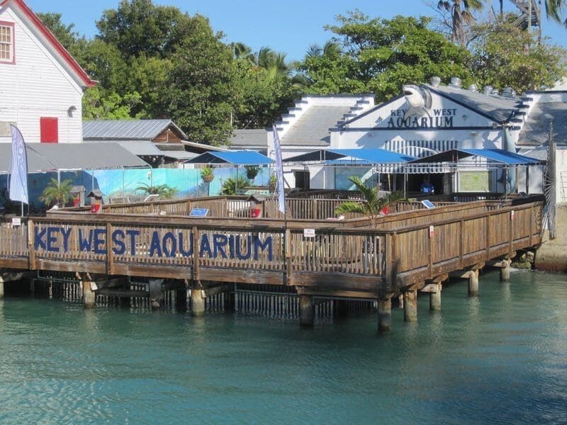 Picture of Key West Aquarium