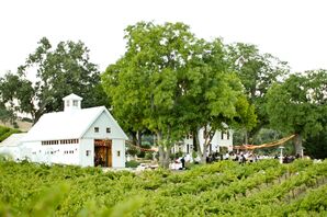 Outdoor Vineyard Reception