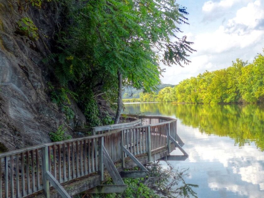 Picture of Ijams Nature Center