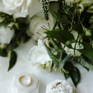 Gallery Photo 72