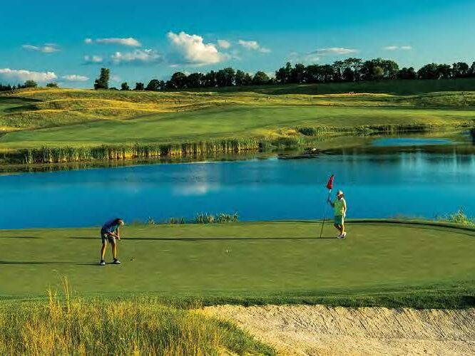 Picture of Ballyowen Golf Club