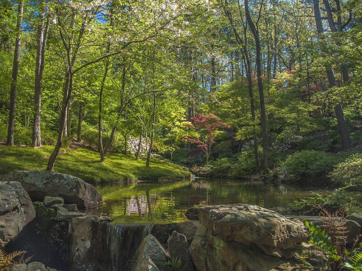 Picture of Garvan Woodland Gardens