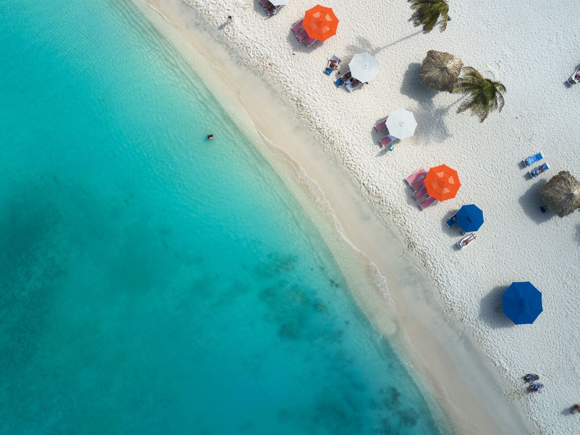Picture of Beaches and Coves
