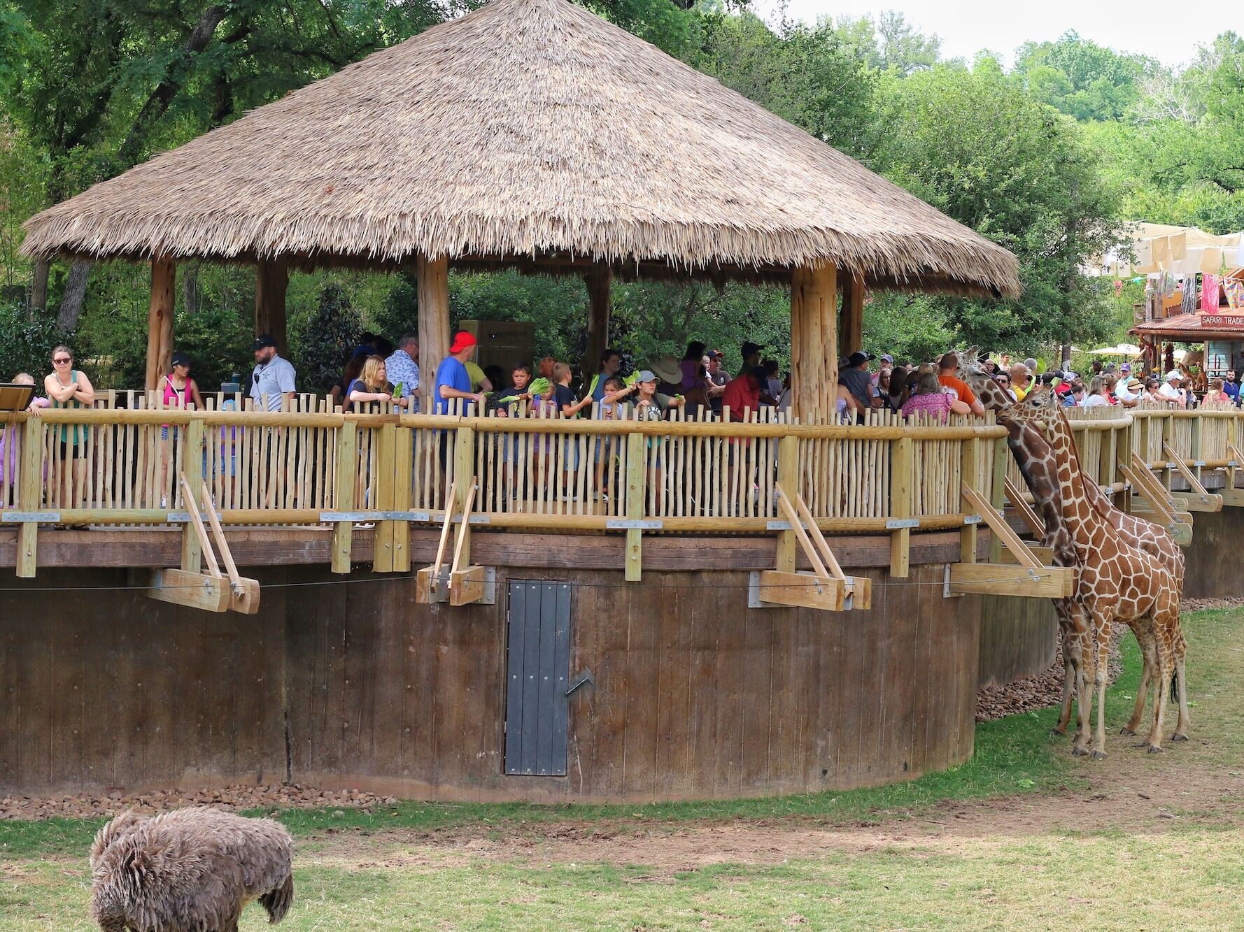 Picture of Fort Worth Zoo
