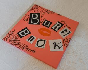 Eclectic Vow Book Inspired by 'Mean Girls'