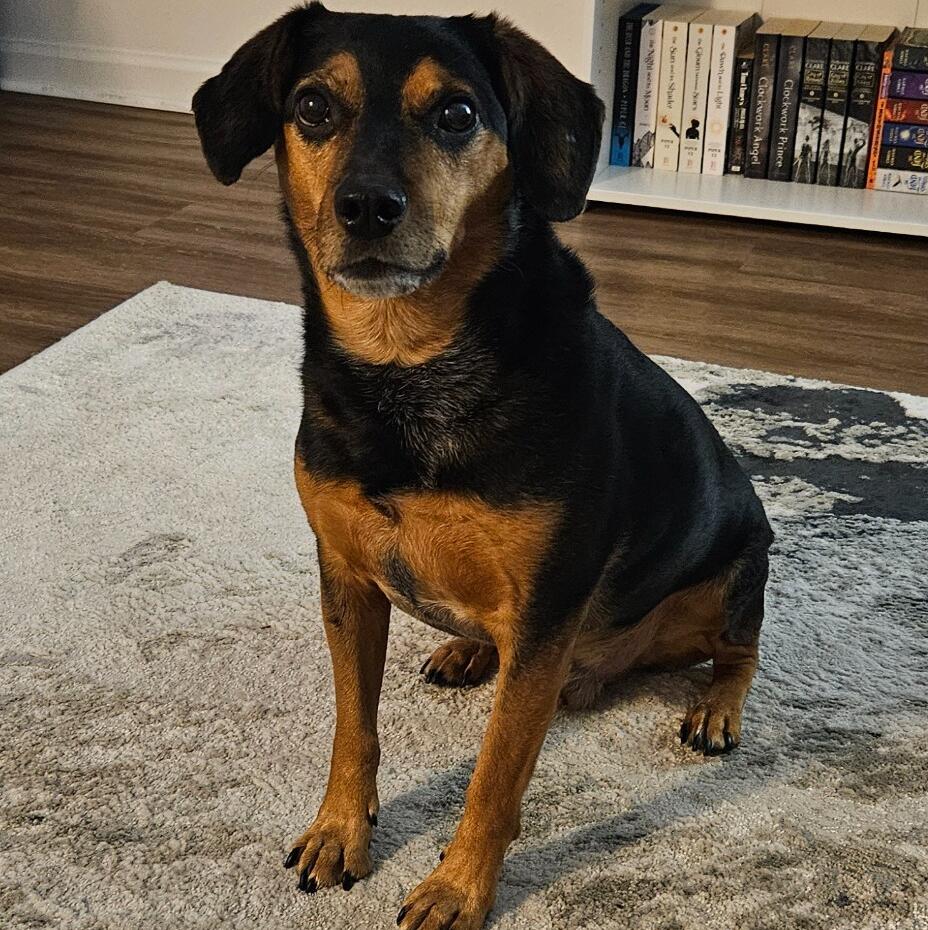 Barkley James