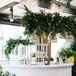 White Rehearsal Dinner Bar With Hanging Lemons, Greenery and Rattan Chandeliers