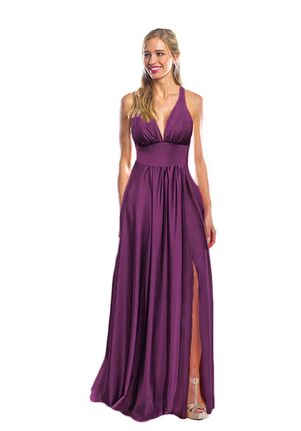 Bari Jay Bridesmaids 2093 V-Neck Bridesmaid Dress