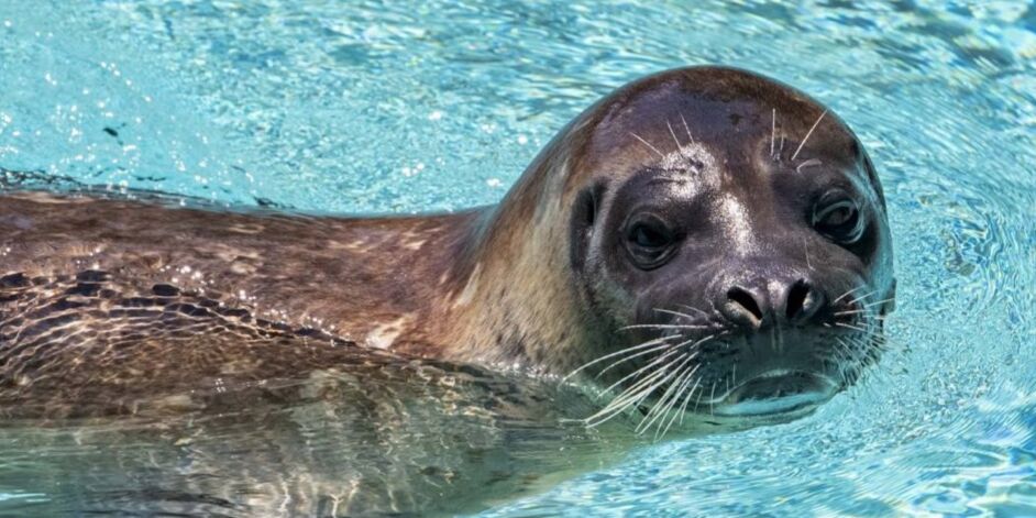 Picture of Milwaukee County Zoo
