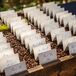 White Escort Cards With Blue Script