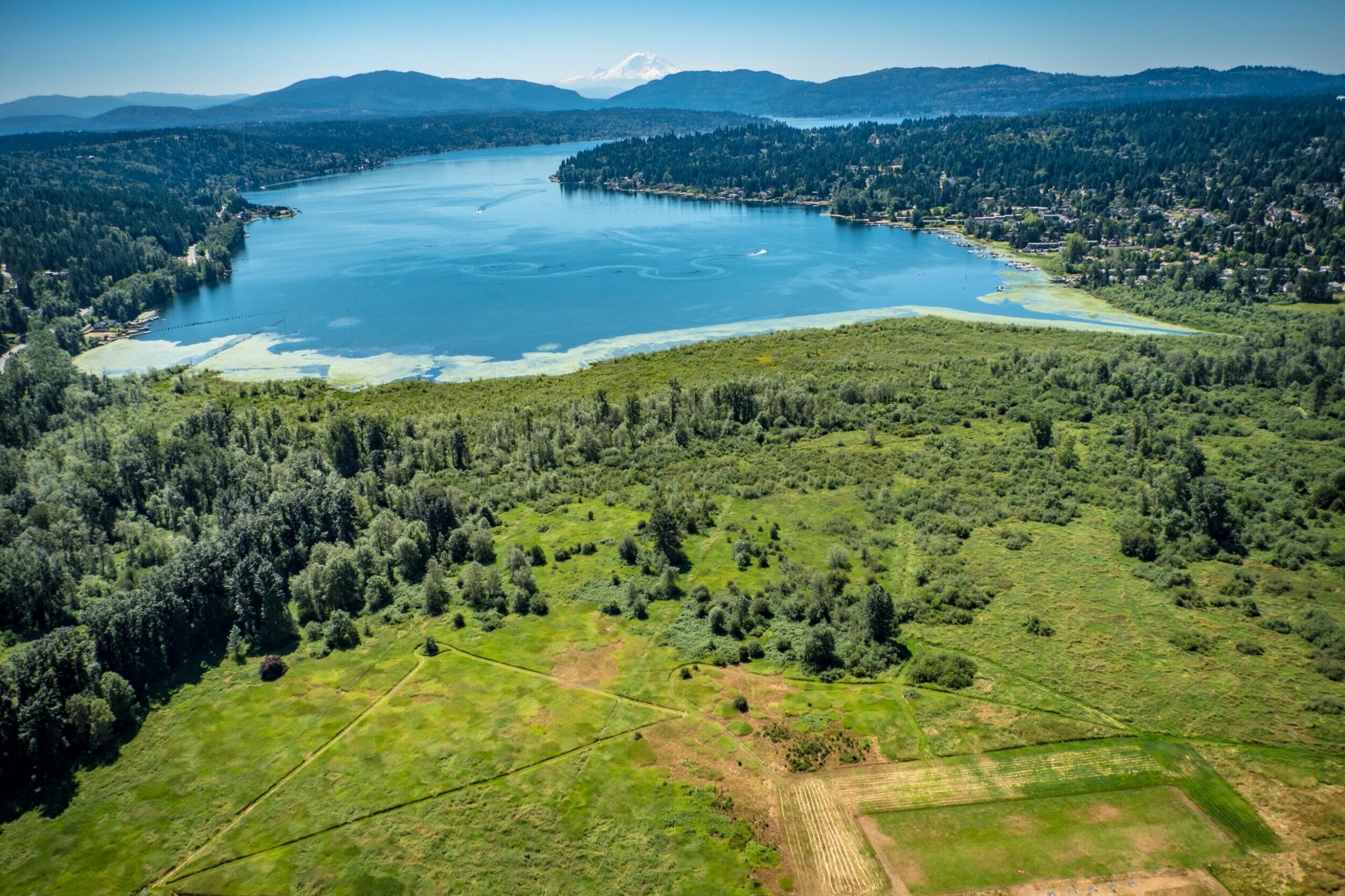 Picture of Marymoor Park