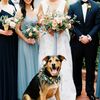 A Rustic and Elegant Wedding at Darlington House in La Jolla, California