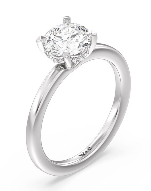 With Clarity Classic Princess, Cushion, Emerald, Pear, Radiant, Round, Oval Cut Engagement Ring - 2