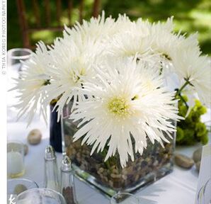 The Centerpieces