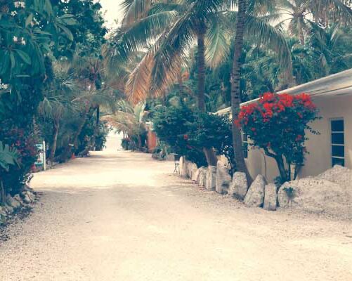 Picture of The Pelican Waterfront Cottages 