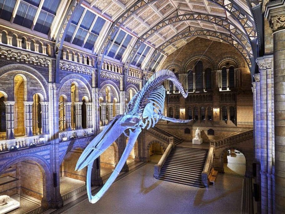 Picture of Natural History Museum