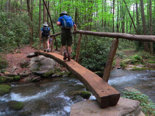 Picture of Great Smoky Mountains National Park