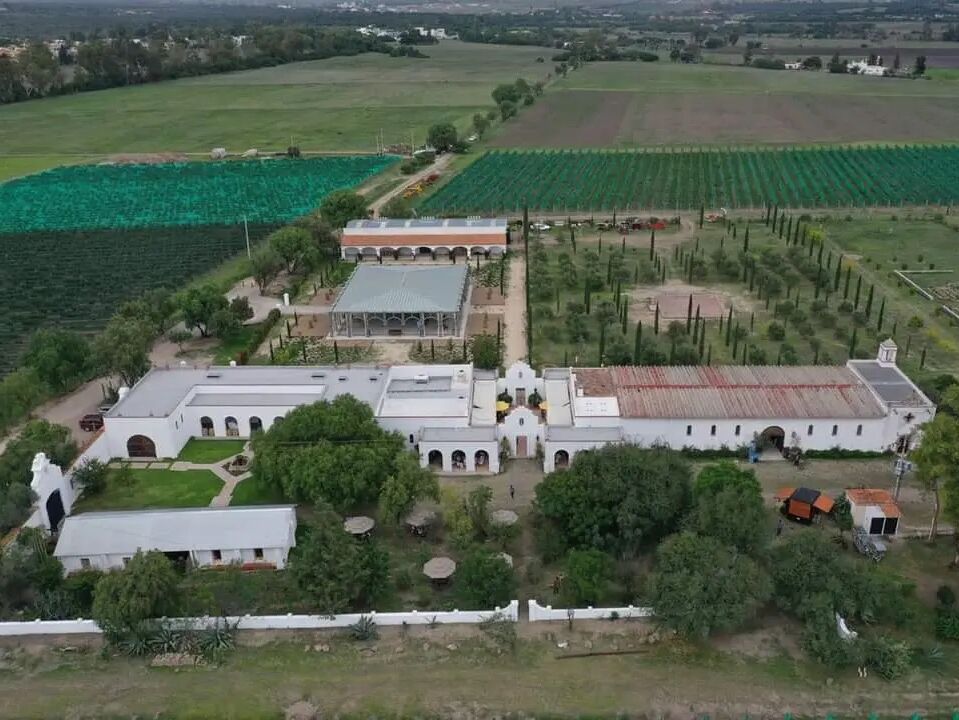 Picture of Bodega Dos Buhos