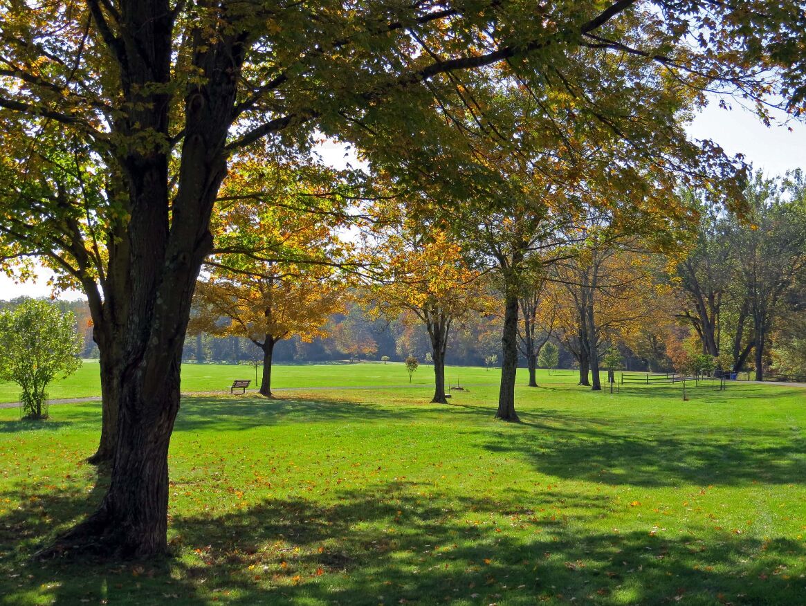 Picture of Natirar Park