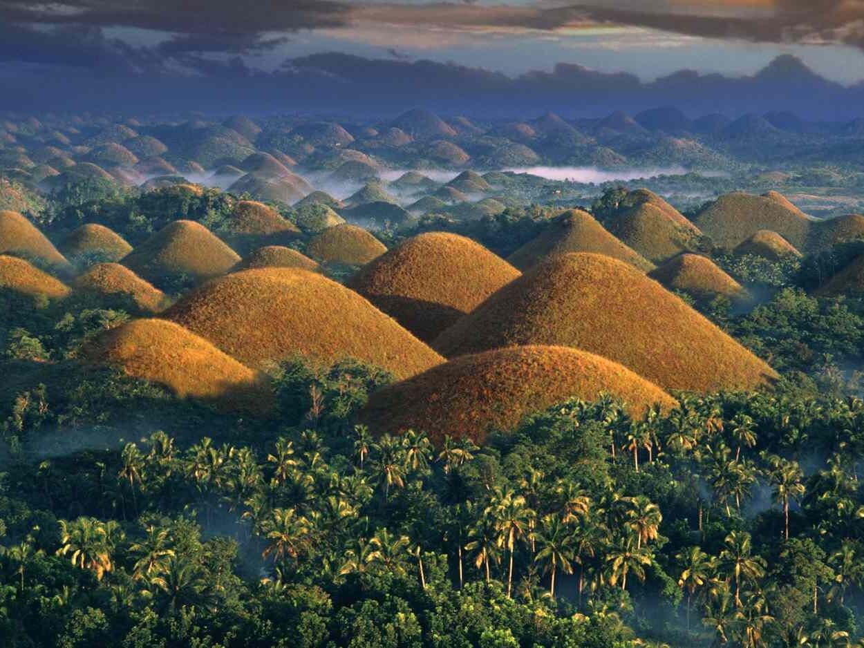 Picture of Day Trip to Bohol
