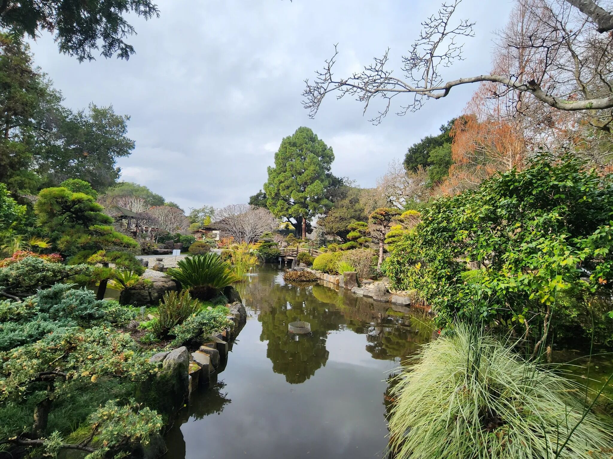 Picture of San Mateo Japanese Garden