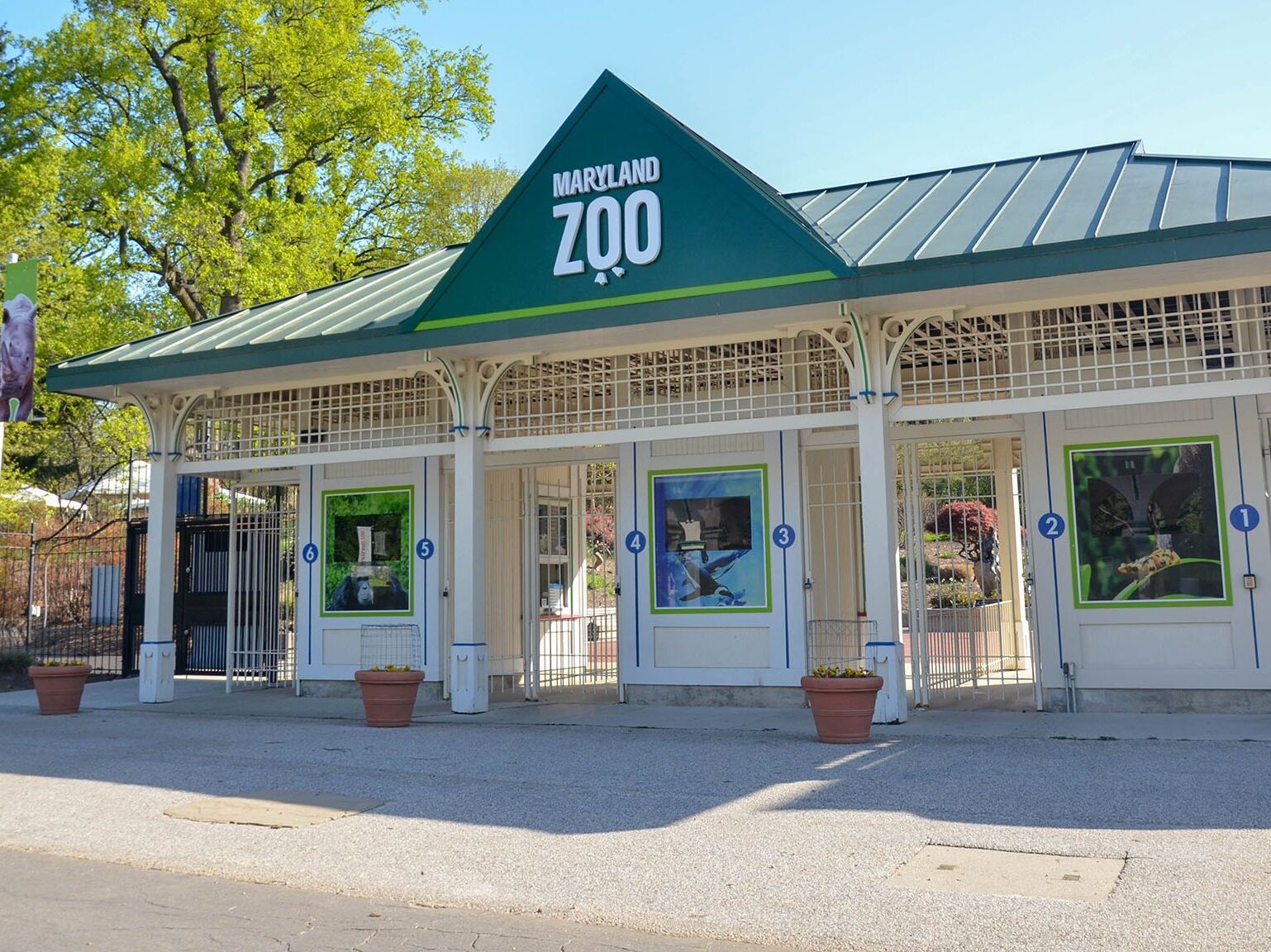 Picture of The Maryland Zoo in Baltimore