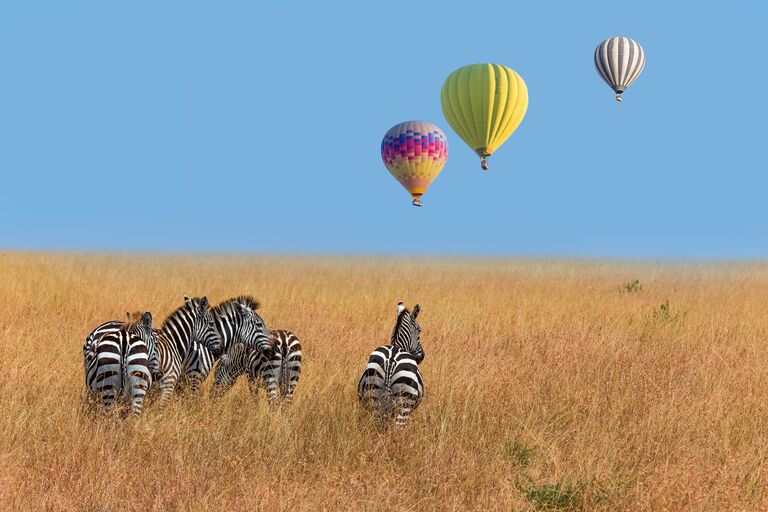 kenya masai mara zebra and hot air balloons
