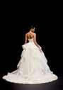 Justin Alexander Signature Nisha Ball Gown Wedding Dress - thumbnail - 4