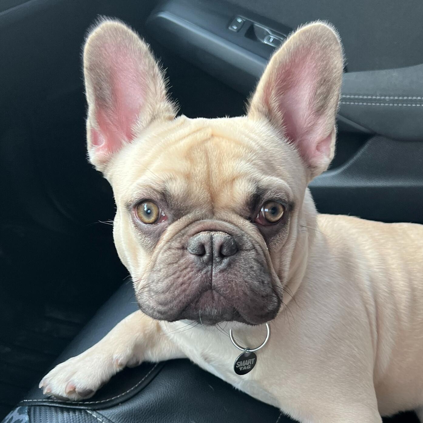 Diesel 
