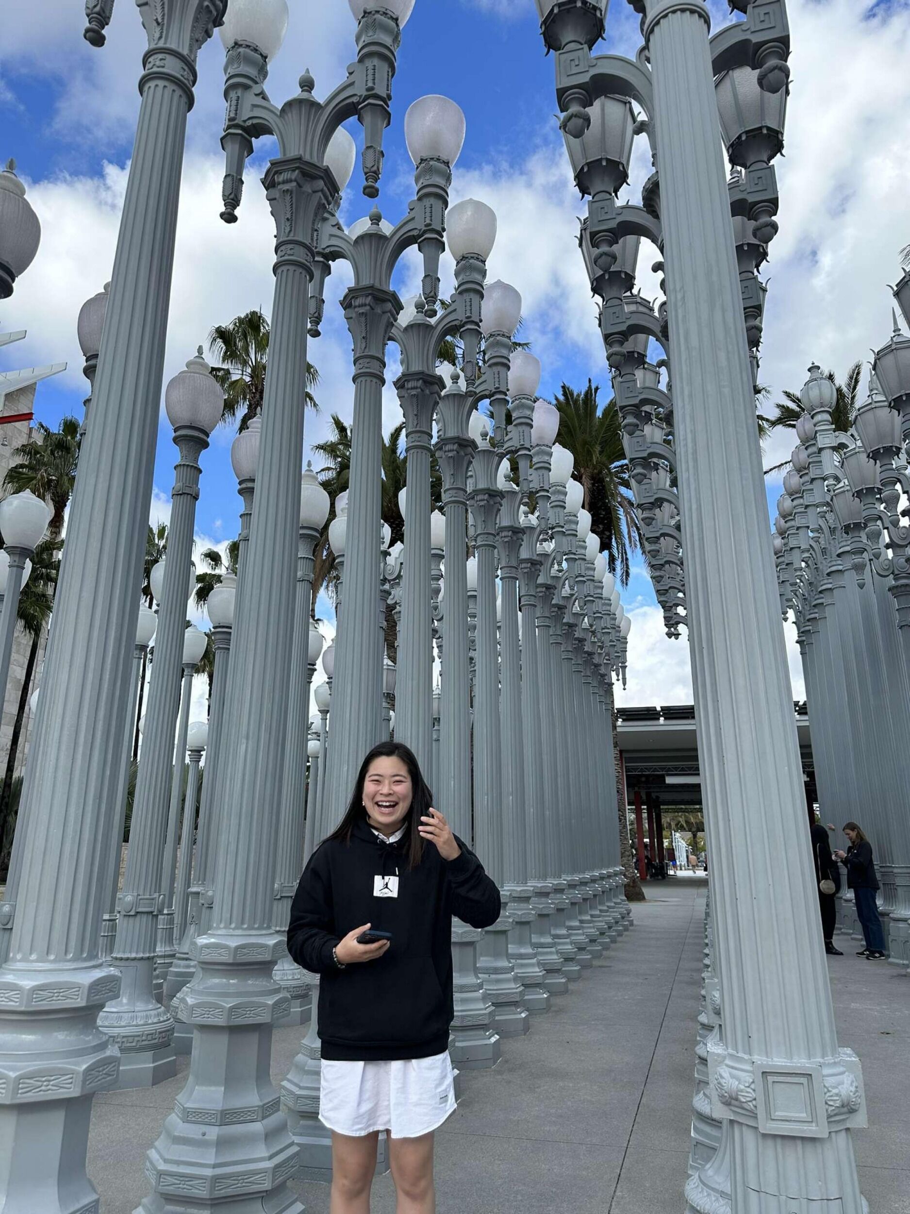 Picture of Los Angeles County Museum of Art $