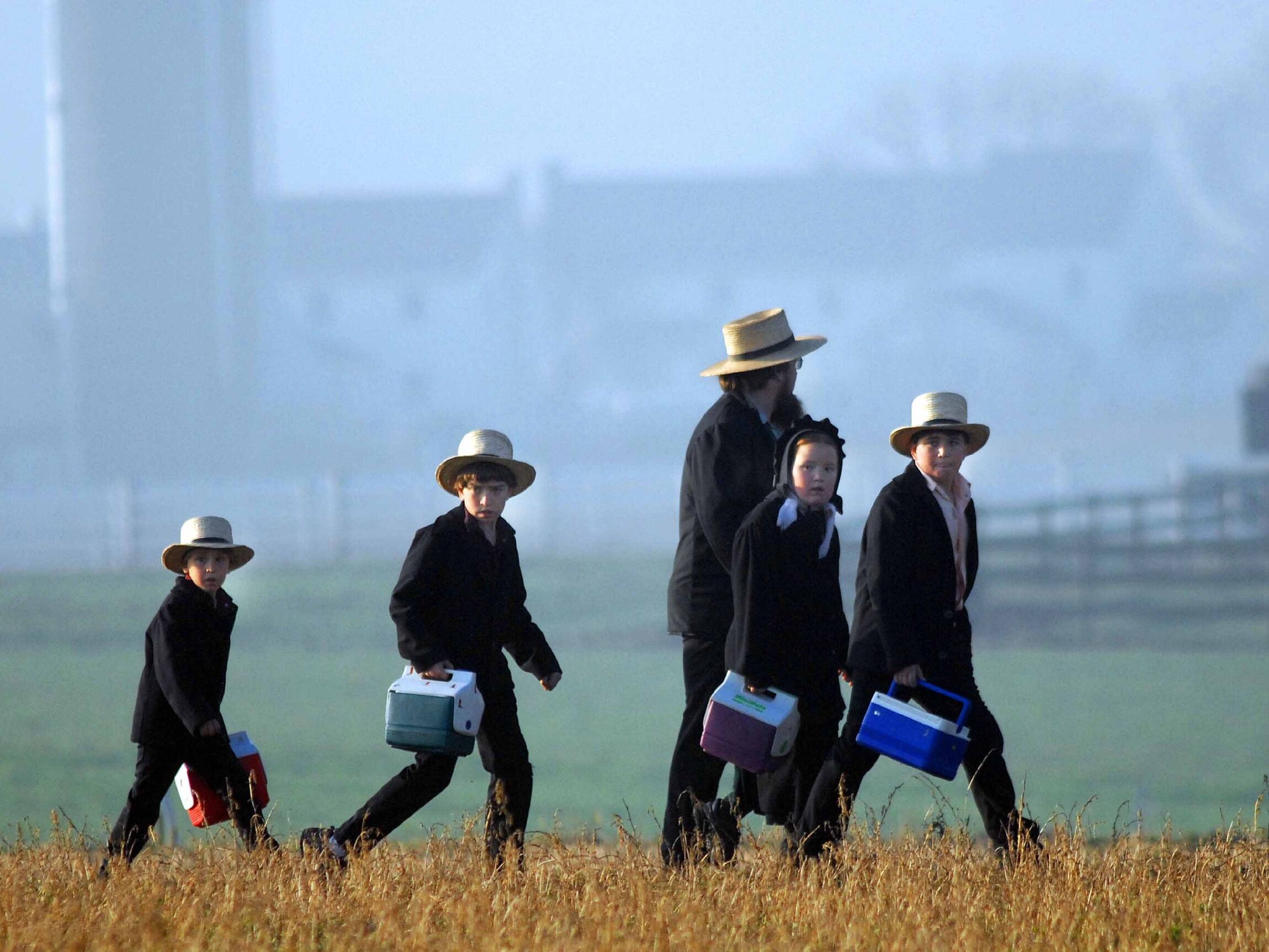 Picture of Stare at the Amish