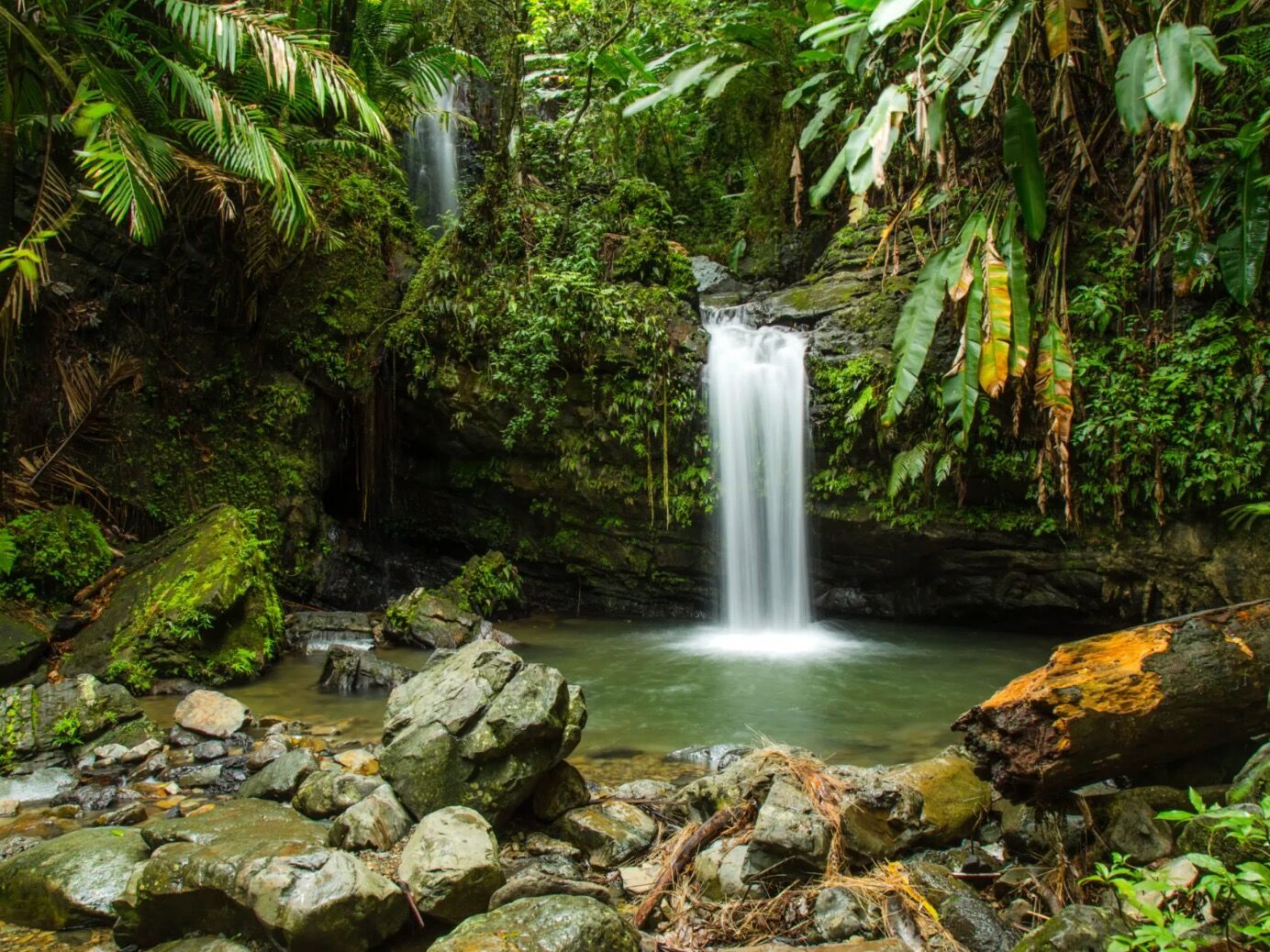 Picture of El Yunque National Forest