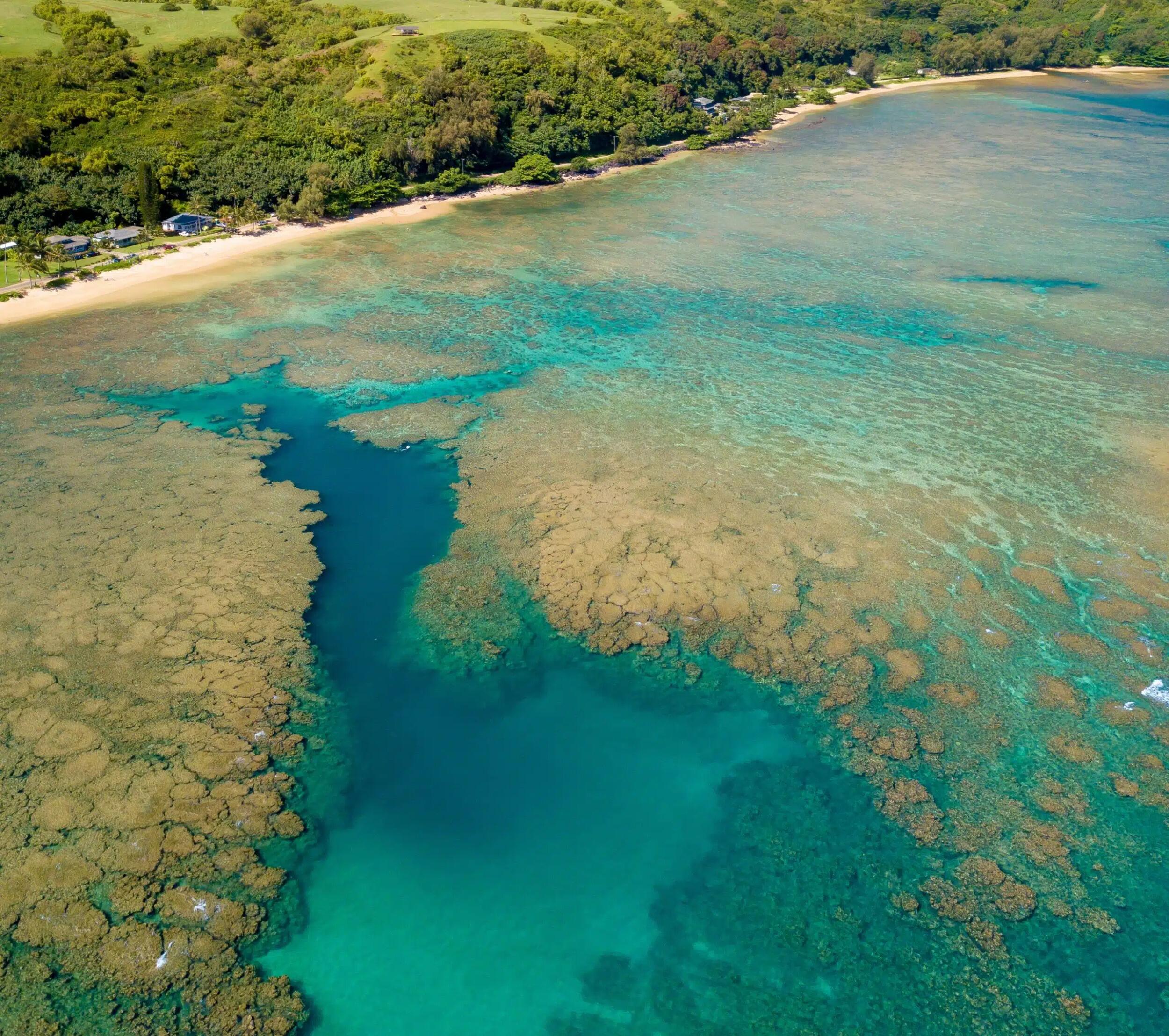 Picture of Anini Beach